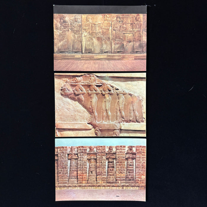 Vintage Postcard Lot Iraq Museum Prisoner Assyrian Sumerian Relief Antiquity Art