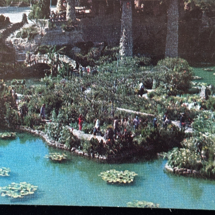 Vintage Postcard 1955 Forest Fire Slogan Cancel Chinese Tea Garden San Antonio