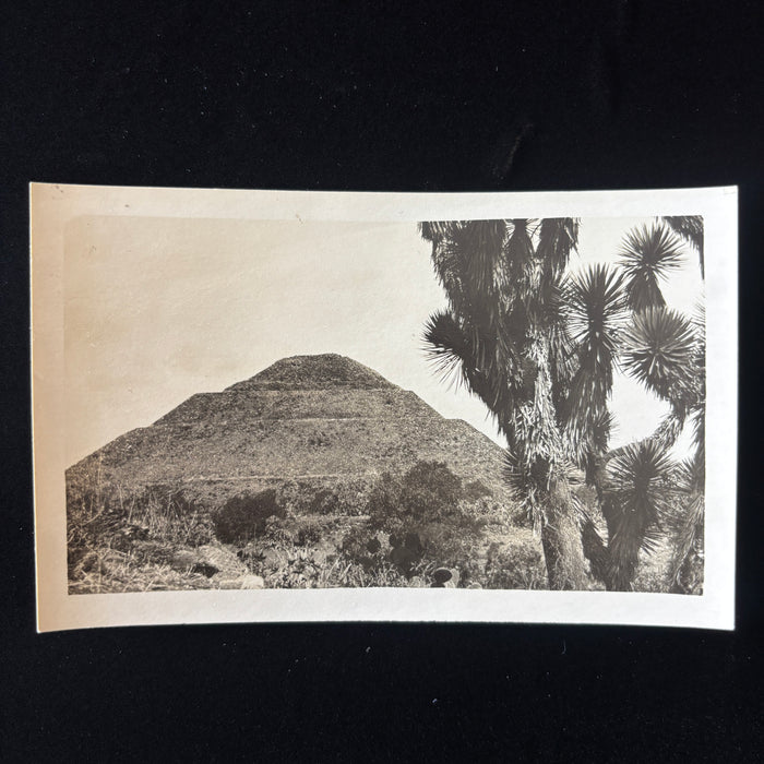 Vintage Postcard RPPC Mexico Sun Pyramid Teotihuacan Desert Yucca Tree Aztec