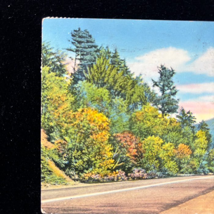 Vintage Postcard 1953 "On the Grind" Adirondacks NY Red Car Scenic Mountains