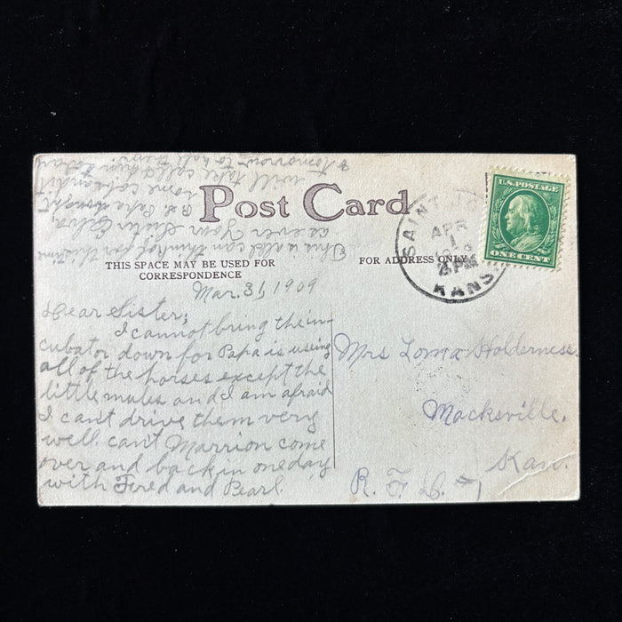 Antique Postcard 1909 Saint John KS Horse Mule Incubator Social History Rural