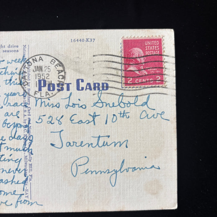 Vintage Postcard 1952 Daytona Beach Florida Racing Speed Autos Moonlight Drive