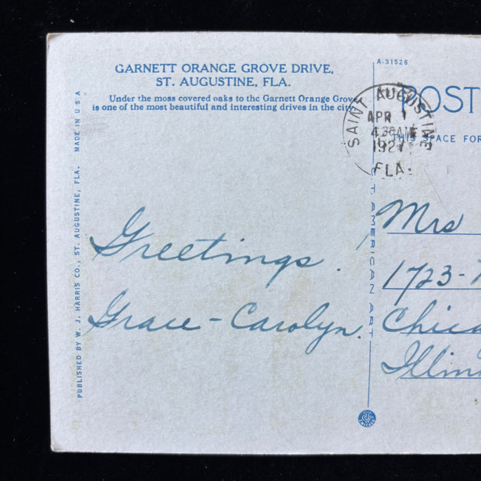 Antique Postcard 1927 Garnett Orange Grove Drive Moss Oaks St Augustine Florida