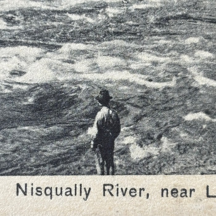 Vintage Postcard Lot Washington Nature Nisqually River La Grande Moclips Ocean