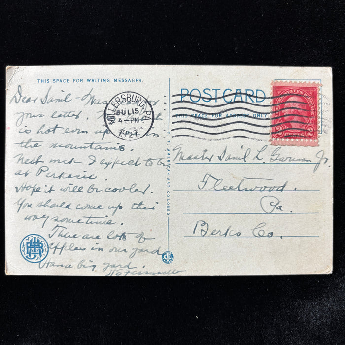 Vintage Postcard 1927 "Lots of Apples" Harrisburg PA Riverside Night
