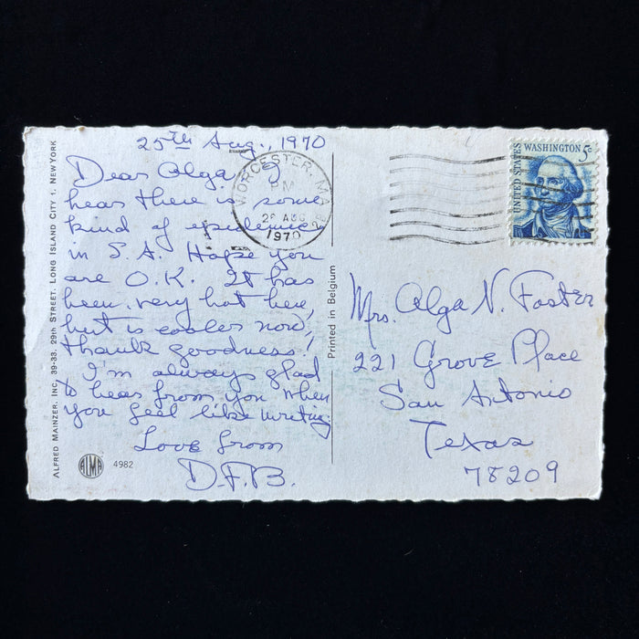 Vintage Postcard 1970 Epidemic Post Alfred Mainzer Cat Hair Salon Mice Poodle