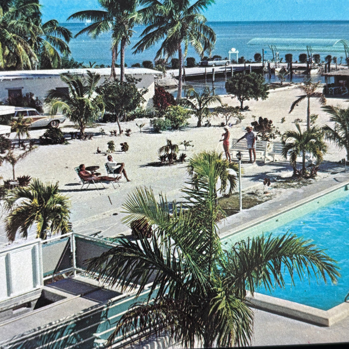 Vintage Postcard Lot FL Tour Oranges Museum Bridge Post Office Miami Resort Cars