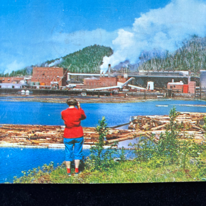 Vintage Postcard 1961 Ketchikan Alaska Pulp Mill Ward Cove Seattle Forestry