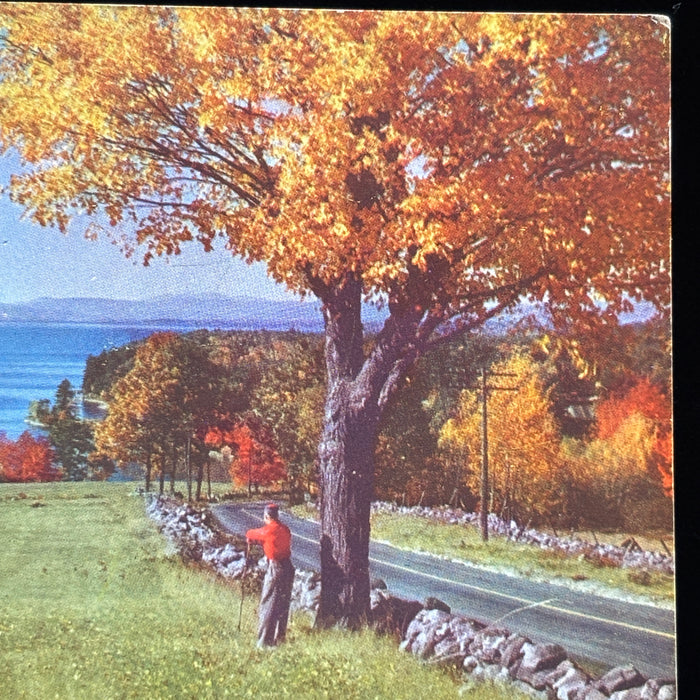 Vintage Postcard Lot New Hampshire Lake Tarleton Club Classic Cars Autumn Trees