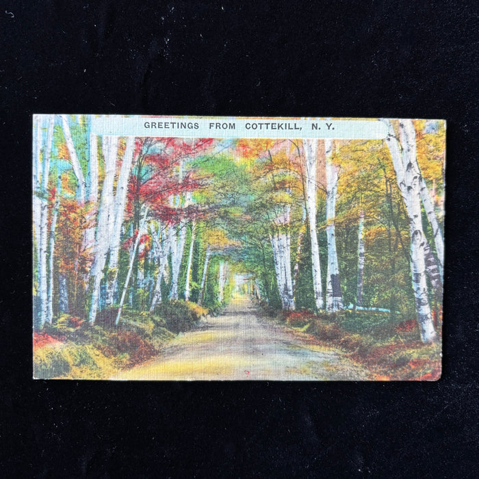 Vintage Postcard 1941 Cottekill NY Forest Scenic Family Resort Vacation Tree Art