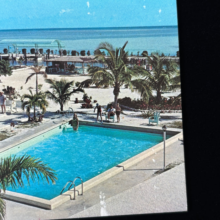 Vintage Postcard Lot FL Tour Oranges Museum Bridge Post Office Miami Resort Cars