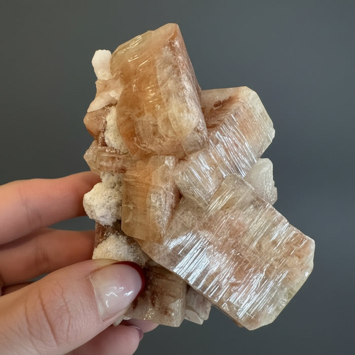 Apophyllite Cluster Red Akashic Record Keeper 4 Inch