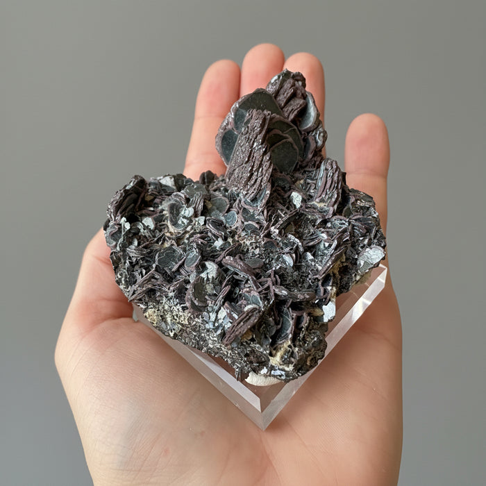 Hematite Cluster Iron Rose Raw Energy Crystal 3 Inch