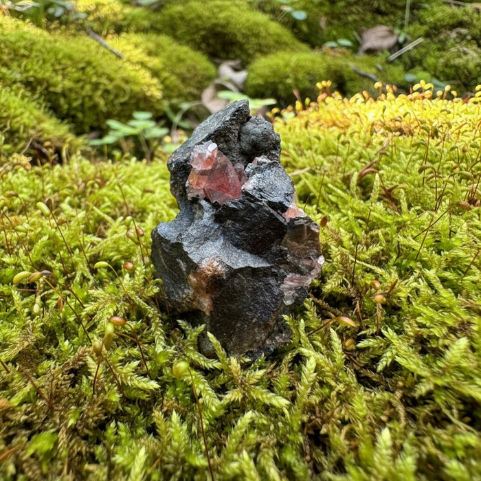 Rhodochrosite Cluster Bold Love Pink Gem Brazil 2 Inch