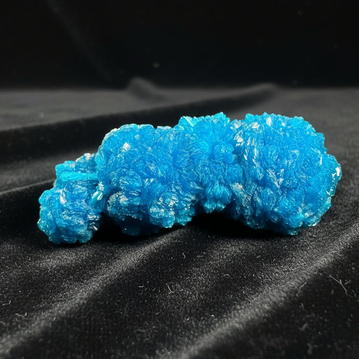 Cavansite Cluster Celestial Blue Rosettes Rare 1.5 Inch