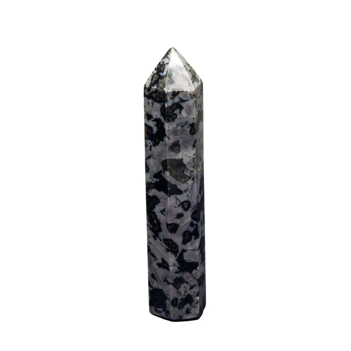 Indigo Gabbro Wand Mystic Merlinite Purple Black Tower