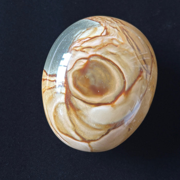Polychrome Jasper Palm Stone Brown Desert Polished Crystal