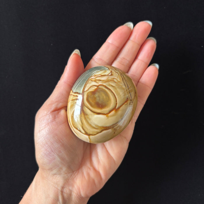 Polychrome Jasper Palm Stone Brown Desert Polished Crystal
