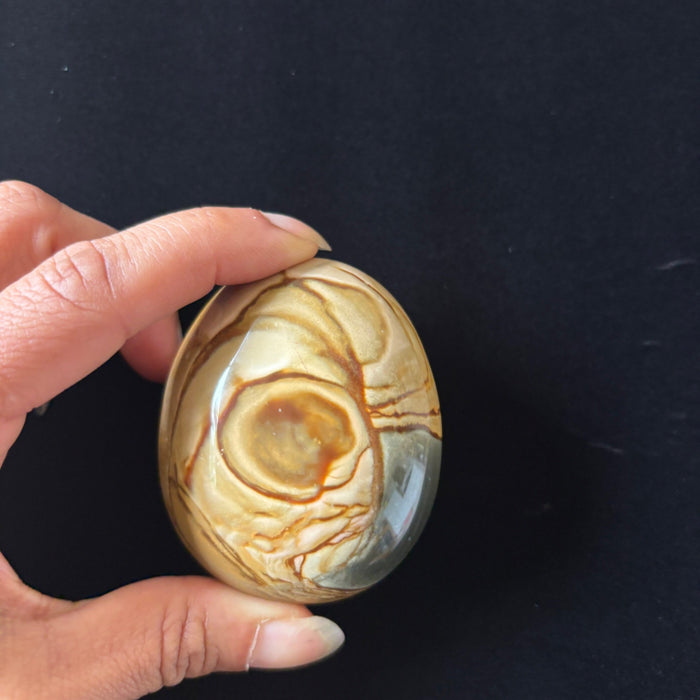 Polychrome Jasper Palm Stone Brown Desert Polished Crystal