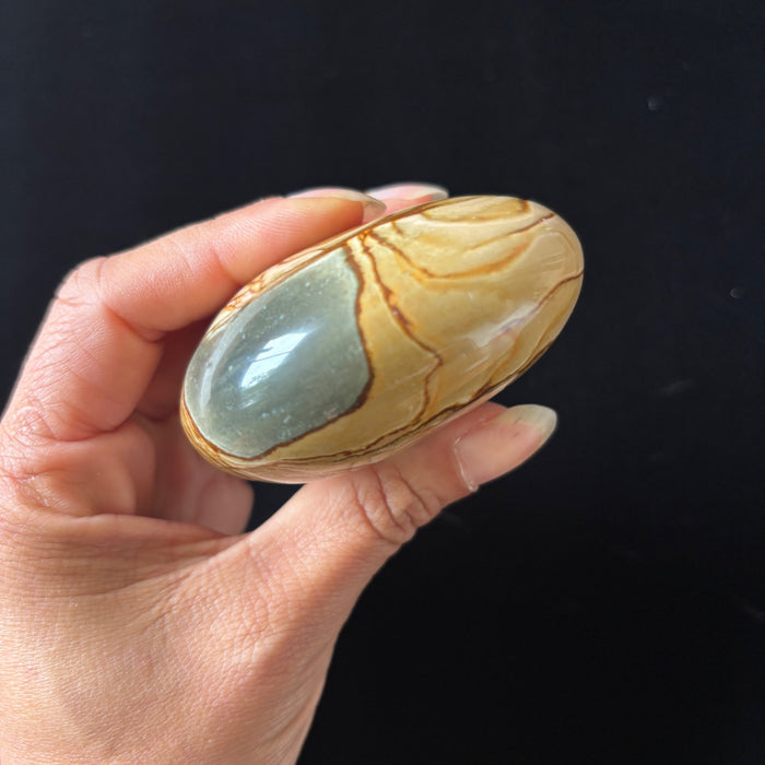 Polychrome Jasper Palm Stone Brown Desert Polished Crystal