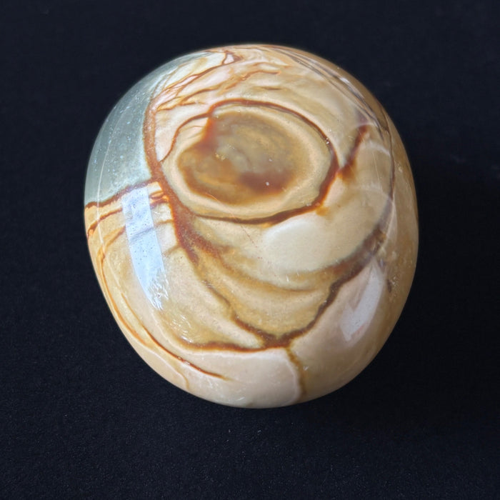 Polychrome Jasper Palm Stone Brown Desert Polished Crystal