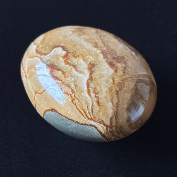 Polychrome Jasper Palm Stone Brown Desert Polished Crystal