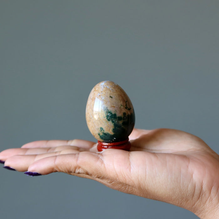 Ocean Jasper Egg Green Brown Crystal Orbicular Stone