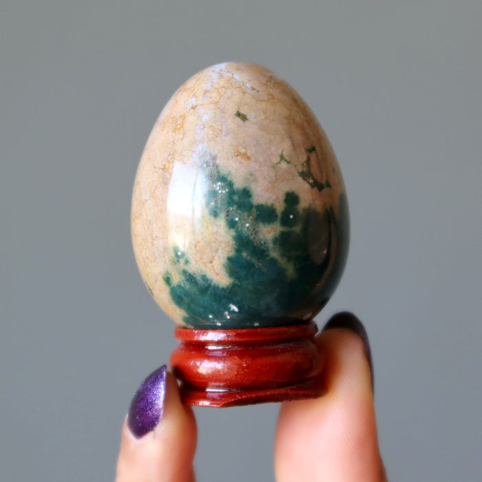 Ocean Jasper Egg Green Brown Crystal Orbicular Stone