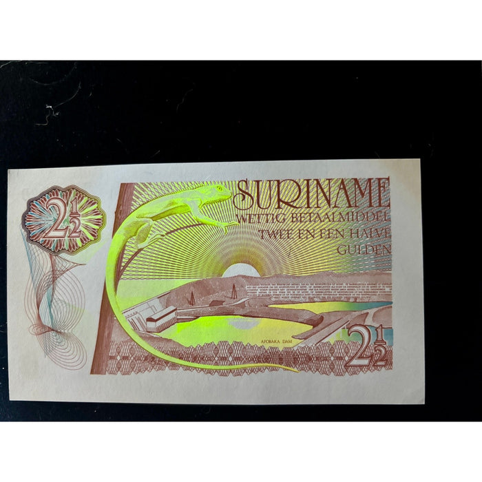 Vintage Banknote 1985 Rare Z/3 Replacement Suriname Gulden UV Bird Lizard UNC