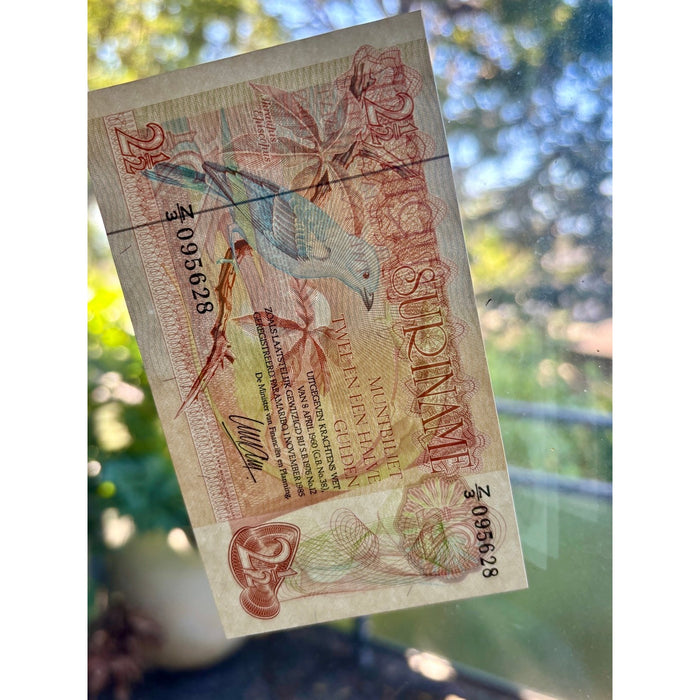 Vintage Banknote 1985 Rare Z/3 Replacement Suriname Gulden UV Bird Lizard UNC