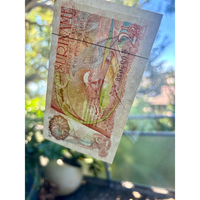 Vintage Banknote 1985 Rare Z/3 Replacement Suriname Gulden UV Bird Lizard UNC