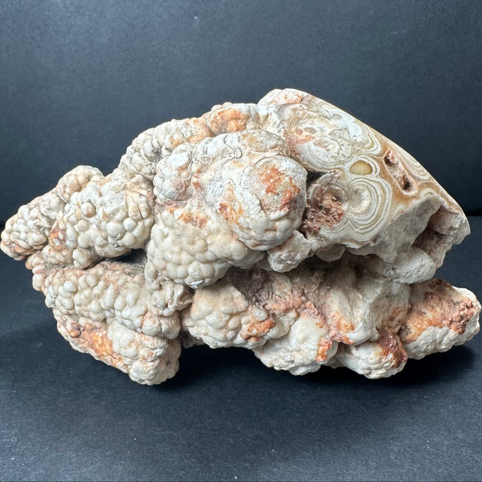 Decorative stone with a textured surface on a dark background