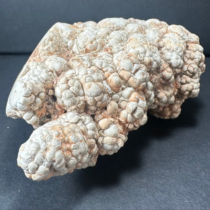 Close-up of a textured rock on a dark background