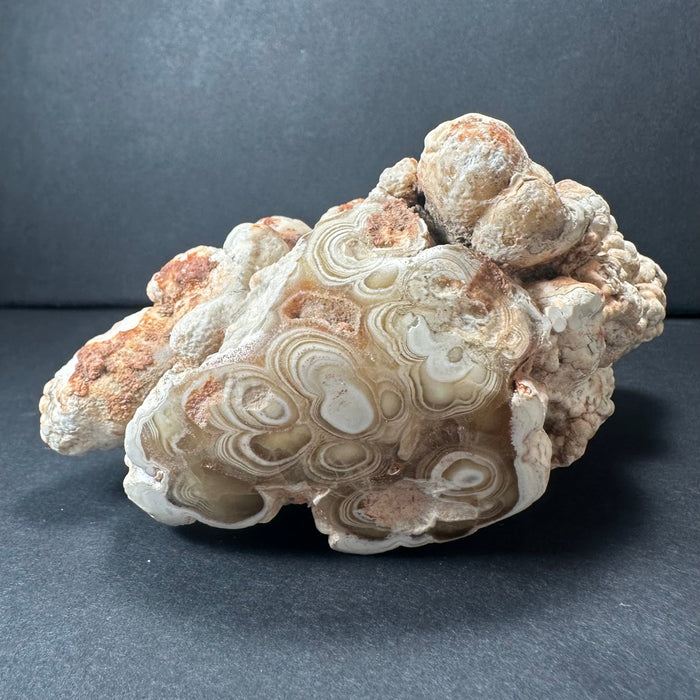 Decorative stone with swirling patterns on a dark gray background