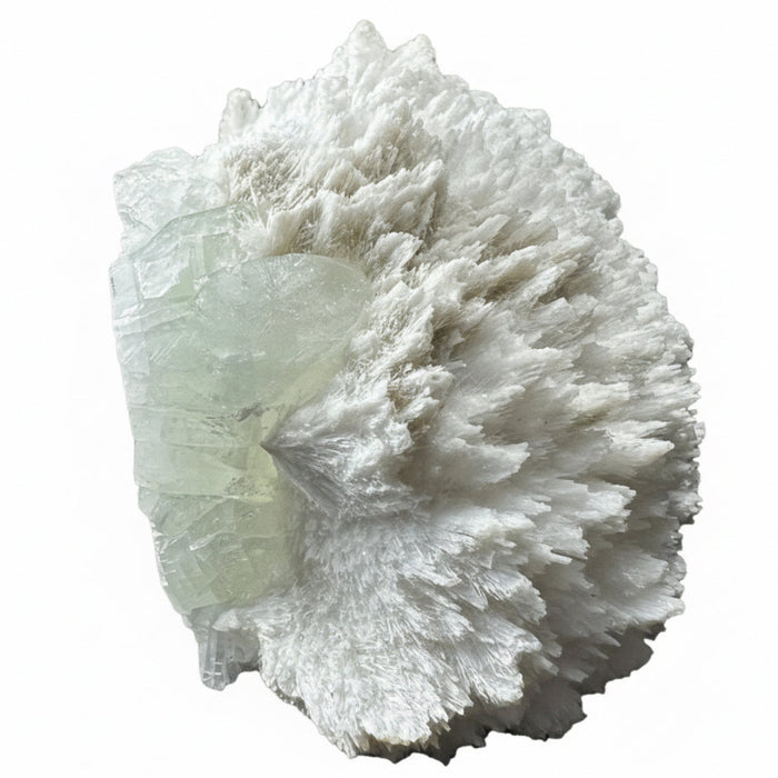 Apophyllite Mordenite Cluster Green Akashic Crystal 3.5 Inch
