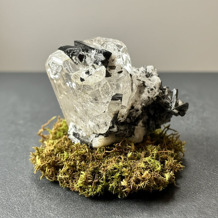 Black Tourmaline White Topaz Raw Crystal Luminous 1 Inch