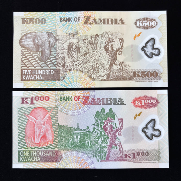 Vintage Banknote Lot 2005 Zambia Dove Watermark UV Elephant African Eagle UNC