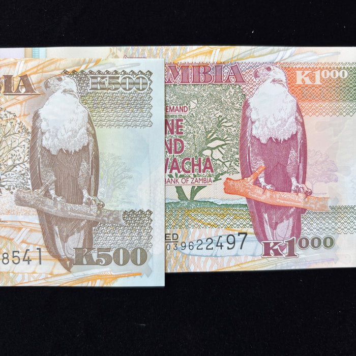 Vintage Banknote Lot 2005 Zambia Dove Watermark UV Elephant African Eagle UNC