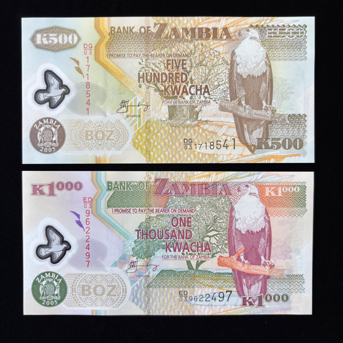 Vintage Banknote Lot 2005 Zambia Dove Watermark UV Elephant African Eagle UNC