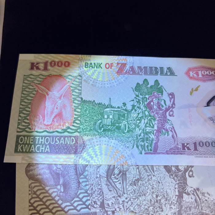 Vintage Banknote Lot 2005 Zambia Dove Watermark UV Elephant African Eagle UNC