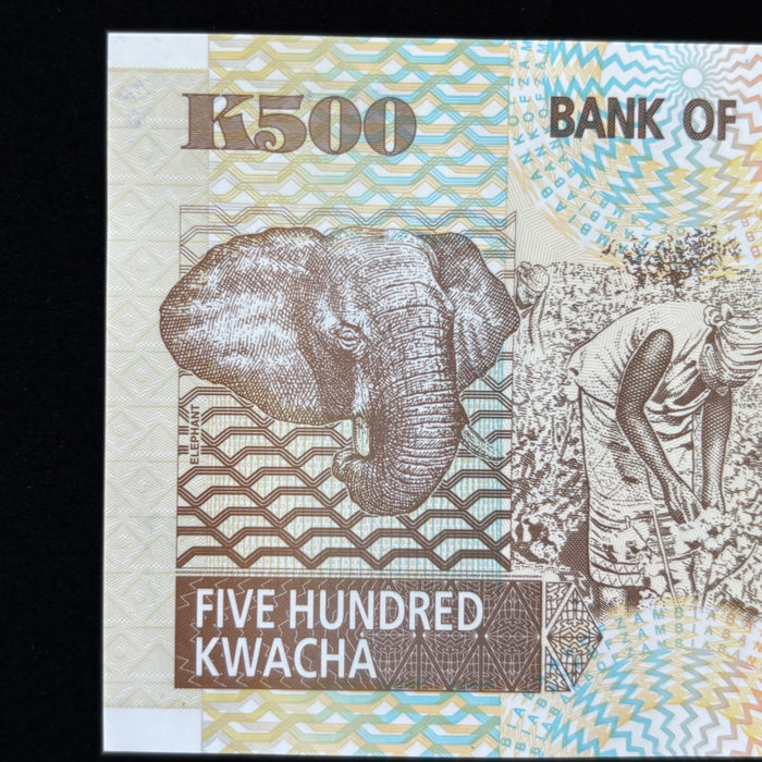 Vintage Banknote Lot 2005 Zambia Dove Watermark UV Elephant African Eagle UNC
