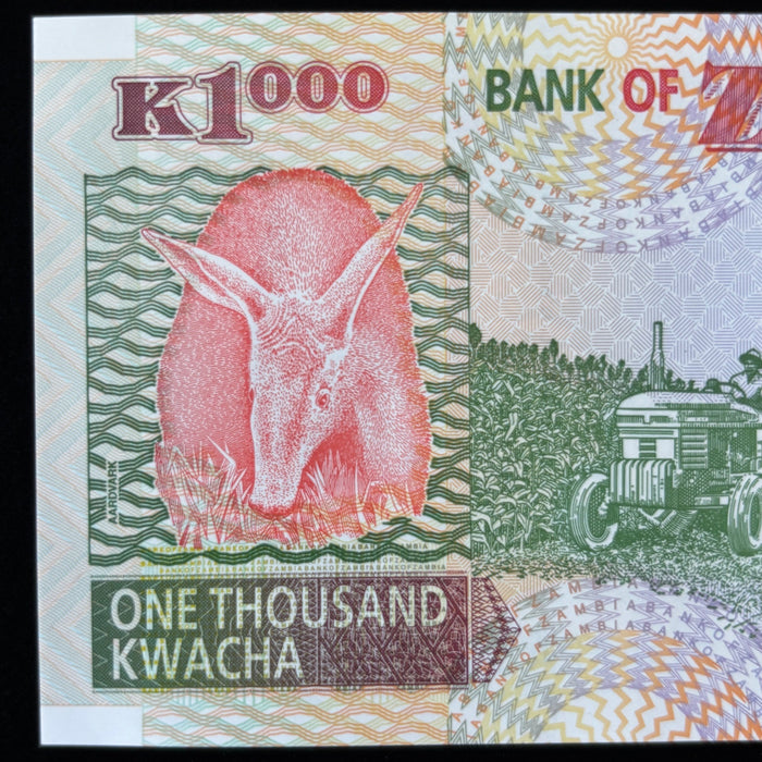 Vintage Banknote Lot 2005 Zambia Dove Watermark UV Elephant African Eagle UNC