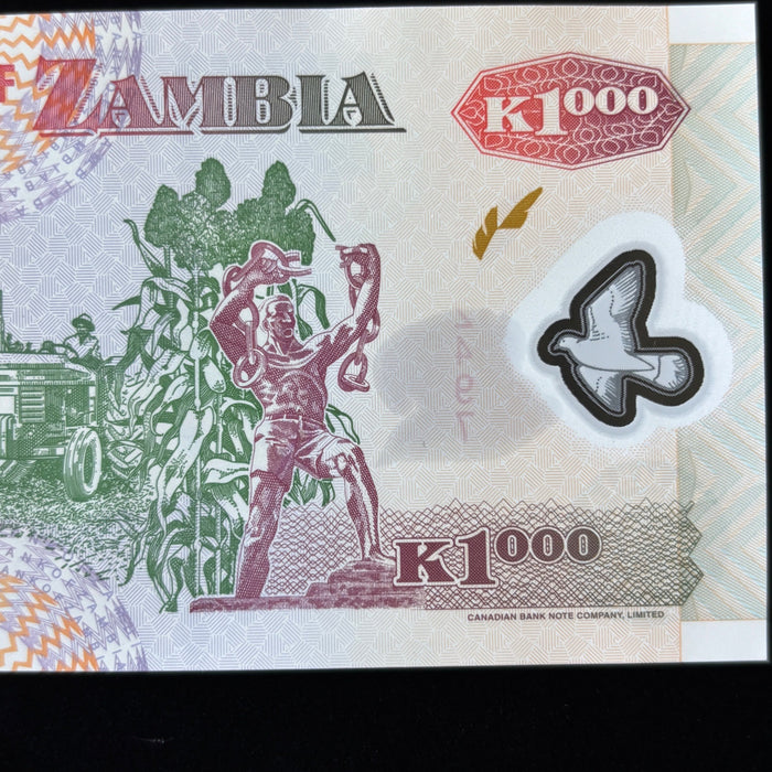 Vintage Banknote Lot 2005 Zambia Dove Watermark UV Elephant African Eagle UNC