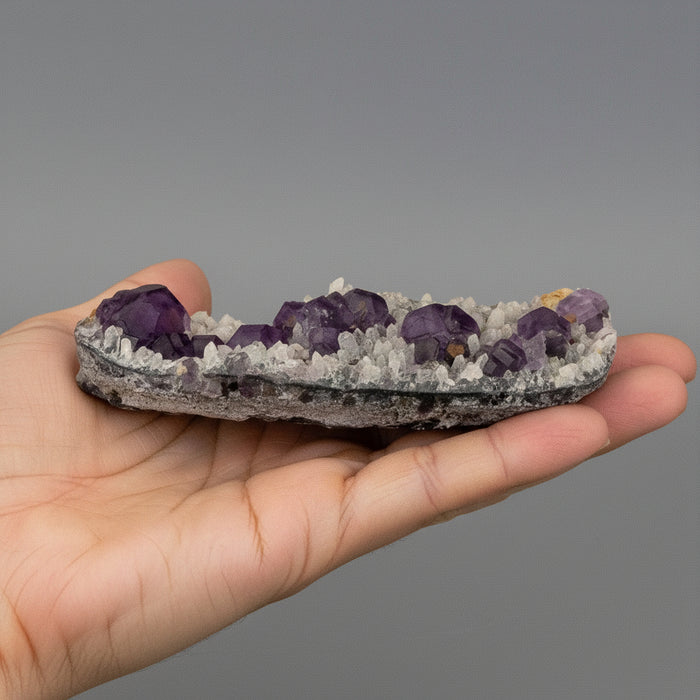 Fluorite Cluster Impressive Purple Cube White Calcite 3.75 Inch