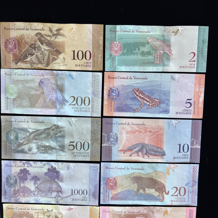Banknote Lot of 14 Hyperinflation 2 to 100,000 Venezuela Bolivares UV Verified