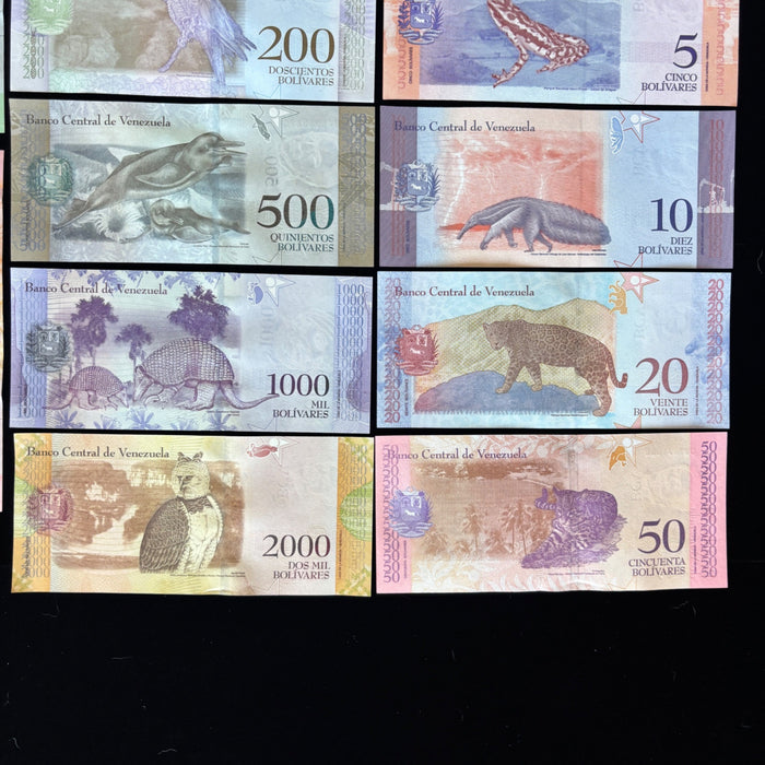 Banknote Lot of 14 Hyperinflation 2 to 100,000 Venezuela Bolivares UV Verified