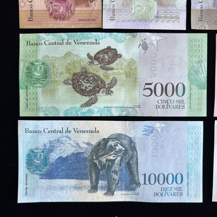 Banknote Lot of 14 Hyperinflation 2 to 100,000 Venezuela Bolivares UV Verified