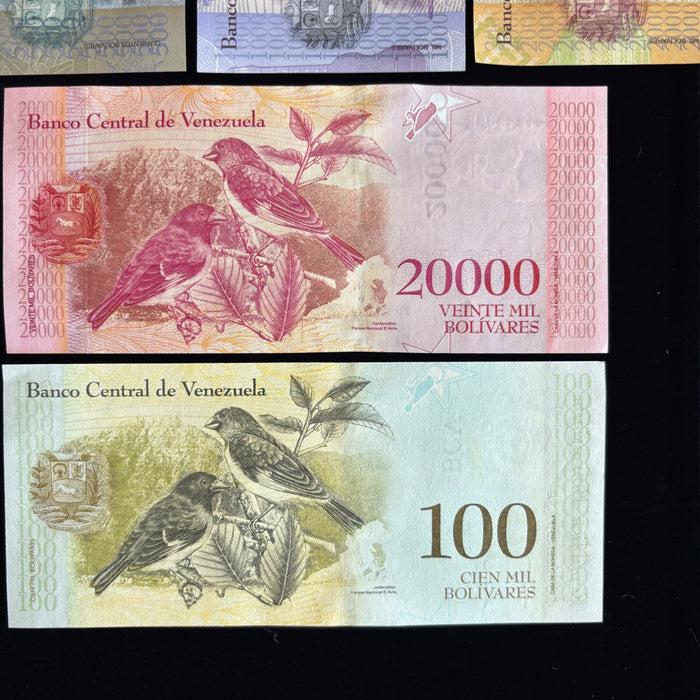 Banknote Lot of 14 Hyperinflation 2 to 100,000 Venezuela Bolivares UV Verified
