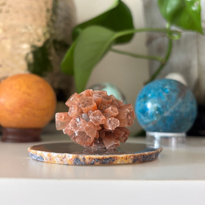 Aragonite Sputnik Cluster Carnelian Charger Sacral Chakra Crystal Set