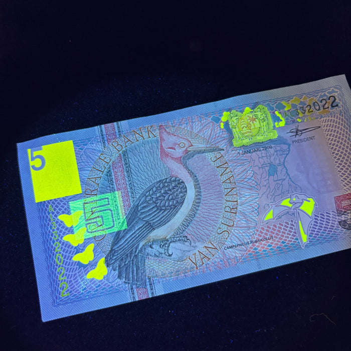 Vintage Banknote Suriname Bird Butterfly Bat Gold Foil UV Verified 5 Gulden AU